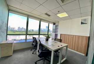 波罗的海树脂虫珀收藏